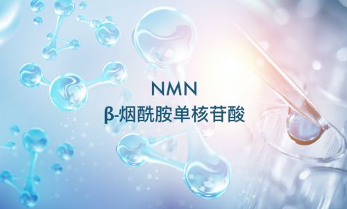 衛(wèi)健委正式受理成為食品添加劑，NMN領(lǐng)跑2023已成定局