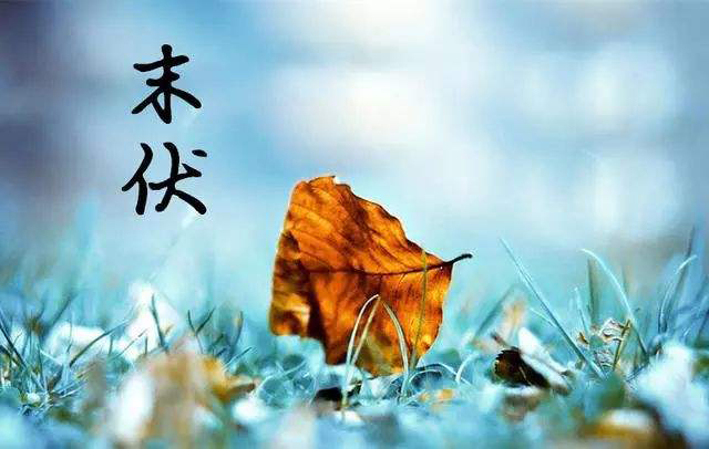 “秋老虎”來襲，如何養(yǎng)生？