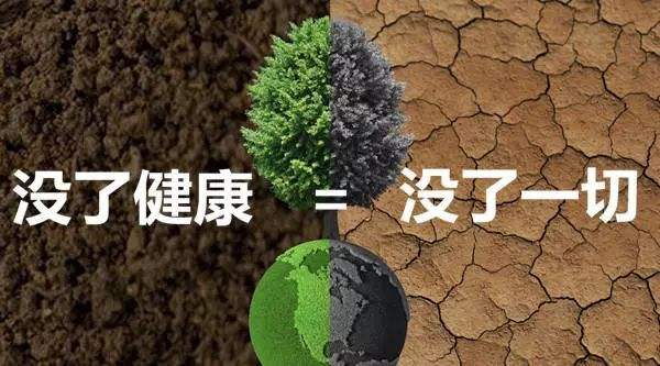 賈云峰：疫情常態(tài)化下，大健康產(chǎn)業(yè)發(fā)展的五個(gè)關(guān)鍵
